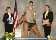 April 2008 show Group 1 Terrier